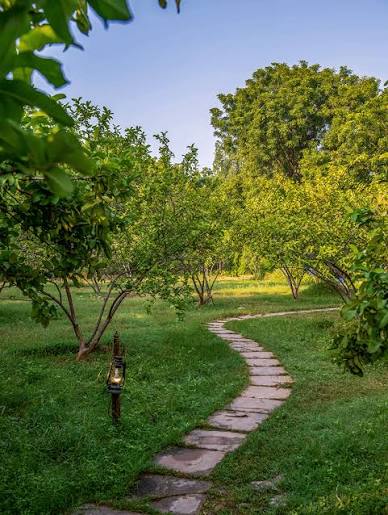 Traditional farming experience near Ranthambore Tiger Village