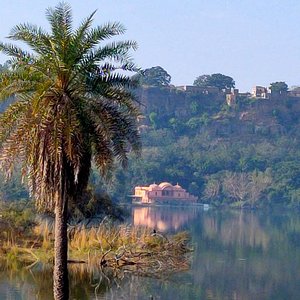 Lake and natural landscape near Ranthambore