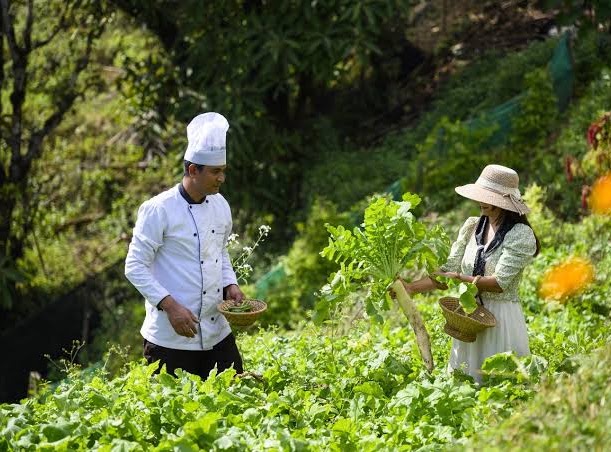 Guests enjoying farming activities at the farm resort